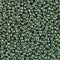 Miyuki 11 Round Seed Bead, 11-4215, Duracoat Galvanized Sea Green, 13 grams